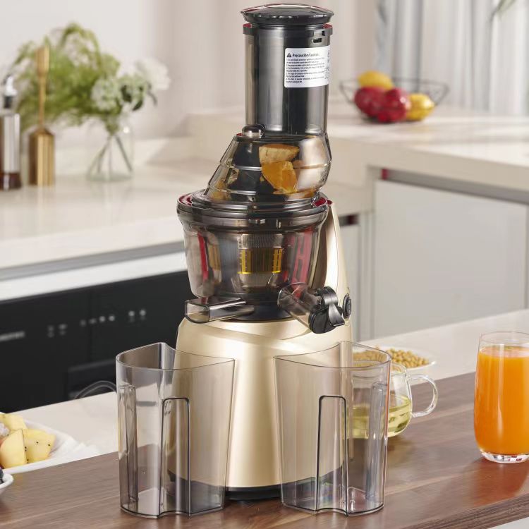 El mejor exprimidor masticador - Electric Slow Juicer Cold Press reseña y precio