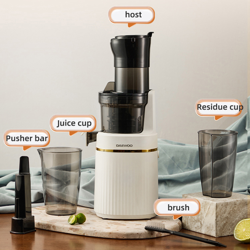 Licuadora portátil Exprimidor  - Electric Slow Juicer Cold Press reseña y precio